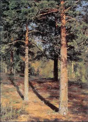 И И Шишкин Сосны освещённые солнцем 1886 г Государственная - фото 325