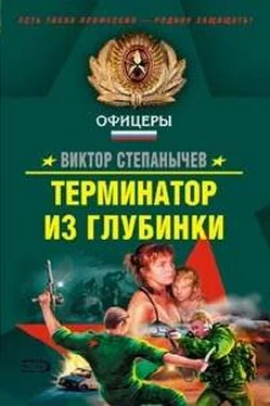 Виктор Степанычев Терминатор из глубинки обложка книги