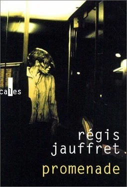 Régis Jauffret Promenade обложка книги