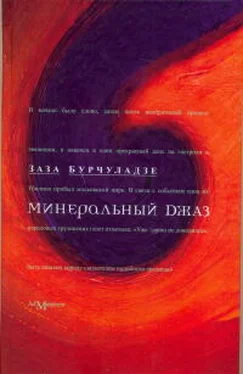 Заза Бурчуладзе Минеральный джаз обложка книги
