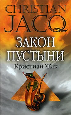 Кристиан Жак Закон пустыни обложка книги