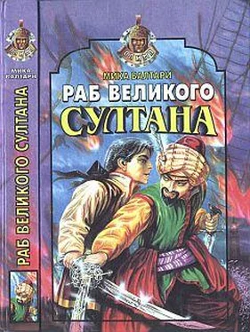 Мика Валтари Раб великого султана обложка книги