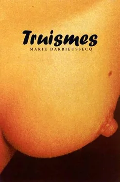 Marie Darrieussecq Truismes обложка книги