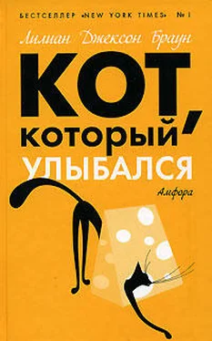 Лилиан Браун Кот, который выследил вора обложка книги