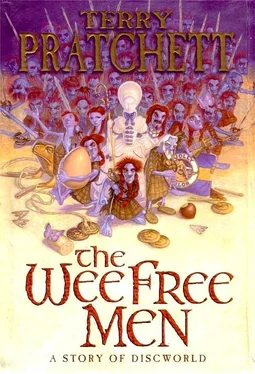 Terry Pratchett The Wee Free Men обложка книги