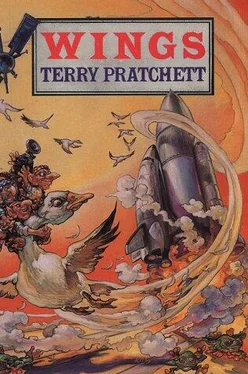 Terry Pratchett The Bromeliad 3 - Wings обложка книги