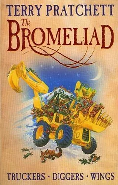 Terry Pratchett The Bromeliad 2 - Diggers обложка книги