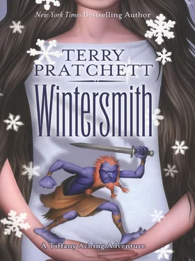 Terry Pratchett Wintersmith