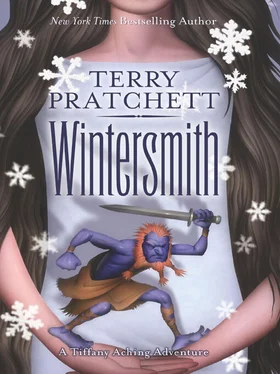 Terry Pratchett Wintersmith обложка книги