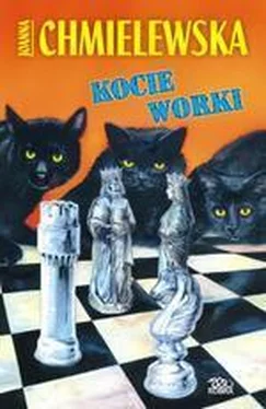 Joanna Chmielewska Kocie Worki обложка книги