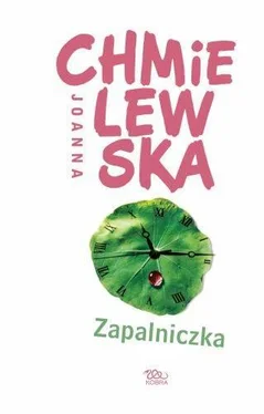 Joanna Chmielewska Zapalniczka обложка книги