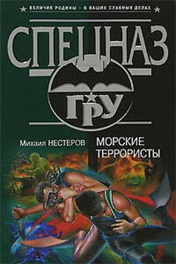 Михаил Нестеров Морские террористы обложка книги