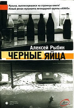 Алексей Рыбин Черные яйца обложка книги