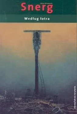 Adam Wiśniewski Według Łotra обложка книги