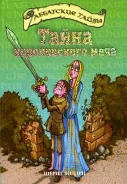 Шерит Болдри Тайна королевского меча обложка книги