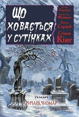 Стивен Кинг Що ховається у сутінках обложка книги