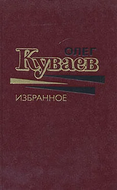 Олег Куваев Азовский вариант обложка книги