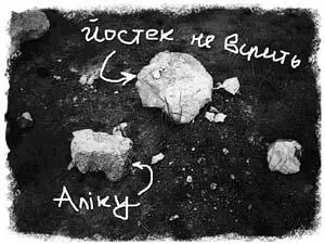Алік знову заплющив очі й підвів обличчя до зоряного неба пригадуючи цитату - фото 7