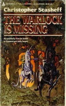 Christopher Stasheff The Warlock is Missing обложка книги