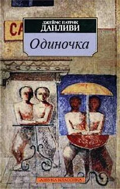 Джеймс Данливи Одиночка обложка книги