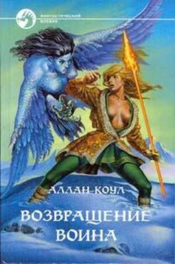 Аллан Коул Возвращение воина обложка книги