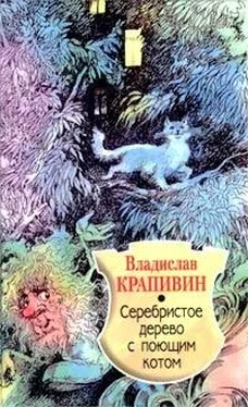 Владислав Крапивин Серебристое дерево с поющим котом обложка книги