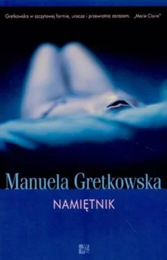 Manuela Gretkowska Namiętnik обложка книги