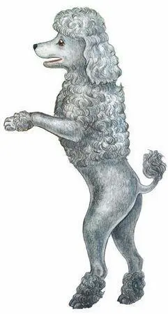 Глава 15 Плохой поступок Снапа Мопсиха опустила голову и начала чесаться - фото 33