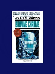 William Gibson - Burning Chrome