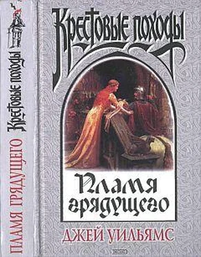 Джей Уильямс Пламя грядущего обложка книги