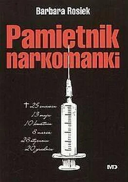 Barbara Rosiek Pamiętnik Narkomanki обложка книги