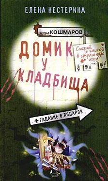 Елена Нестерина Домик у кладбища обложка книги