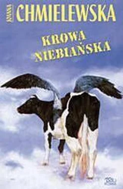 Joanna Chmielewska Krowa Niebiańska обложка книги