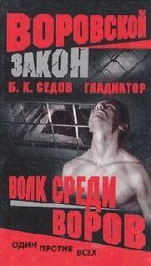 Б. Седов Волк среди воров (Роман) обложка книги