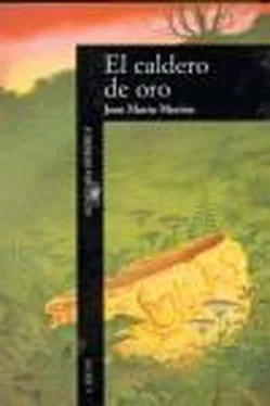 José Merino El caldero de oro обложка книги