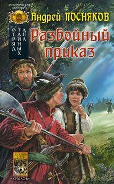 Андрей Посняков Разбойный приказ обложка книги