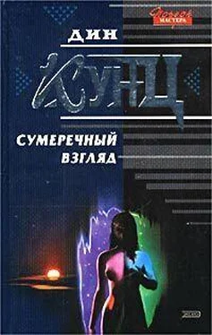 Дин Кунц Сумеречный Взгляд обложка книги