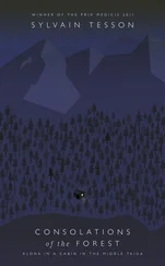 Sylvain Tesson - Consolations of the Forest - Alone in a Cabin in the Middle Taiga