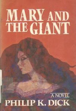 Philip Dick Mary And The Giant обложка книги