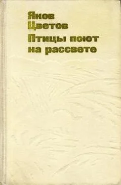 Яков Цветов Птицы поют на рассвете обложка книги