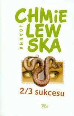 Joanna Chmielewska 2/3 Sukcesu обложка книги