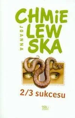 Joanna Chmielewska - 2/3 Sukcesu