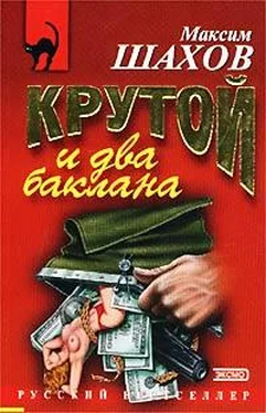 Максим Шахов Крутой и два баклана обложка книги