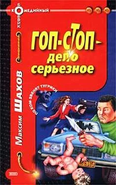 Максим Шахов Гоп-стоп – дело серьезное обложка книги