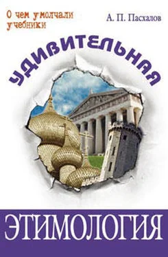 Анатолий Пасхалов Удивительная этимология обложка книги