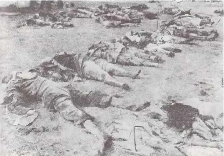 Жертвы союзной бомбардировки Дрездена Февраль 1945 г Восстановительные - фото 28