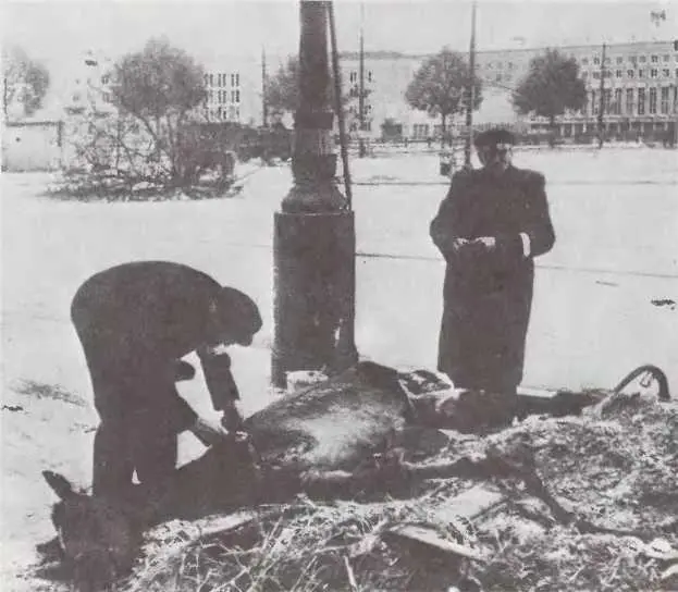 Таково было продовольственное положение в Берлине Май 1945 г Уличная - фото 51