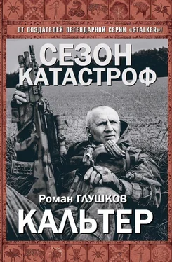 Роман Глушков Кальтер (СИ) обложка книги