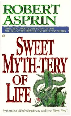 Robert Asprin Sween Myth-tery of Life обложка книги