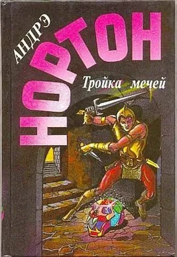 Андрэ Нортон Тройка мечей обложка книги